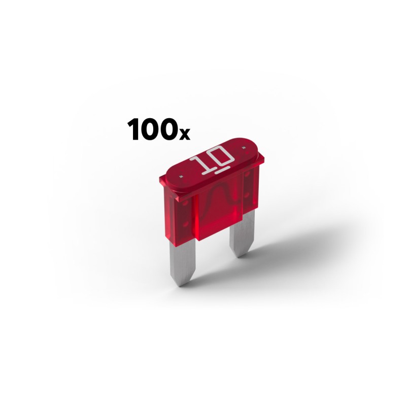 Pojistky 10A pro Power Supply & Backup (100 kusů)