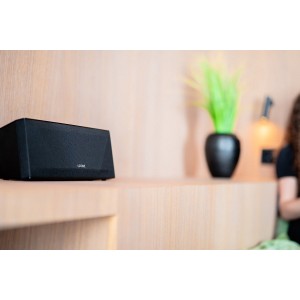 Wireless Speaker