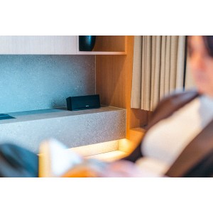 Wireless Speaker