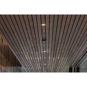 Senzor přítomnosti Tree antracitová