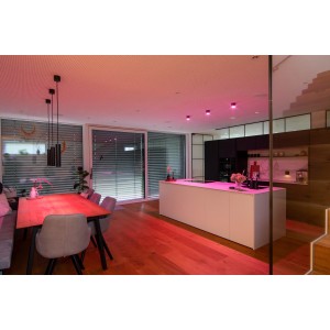 Příložný LED Spot RGBW Tree antracitová