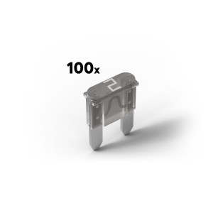 Pojistky 2A pro Power Supply & Backup (100 kusů)